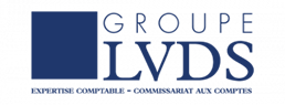 logo-groupe-lvds-1-300x111